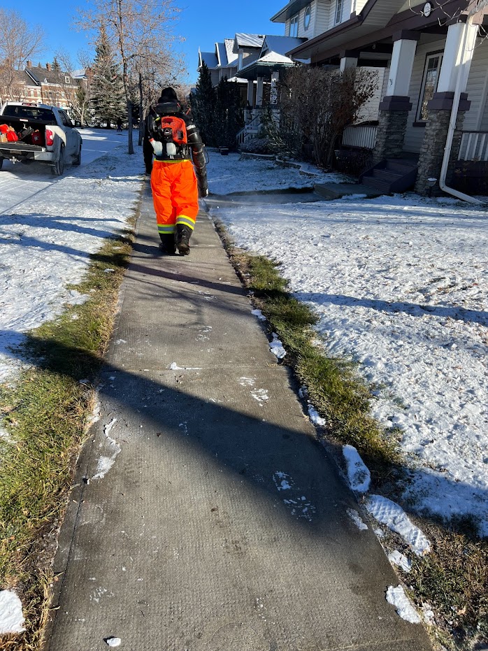 expert carefully clearing snow from walkways to ensure safety.