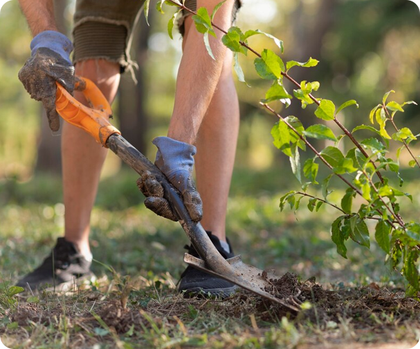 'I'd Cut That!' expert shoveling soil, showcasing meticulous care for lawn maintenance.